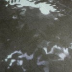 http://e5fzyct01jee2bol.lightizm.com/files/gimgs/th-76_71_Nostalgia1_v2.jpg